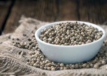 Menelisik Jalur Rempah-rempah di Pulau Bangka, Diawali dari Kota Kapur