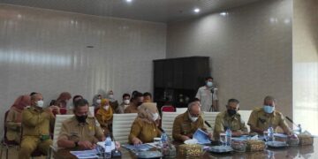 Bahas Pemanfaatan Ruang hingga Soal Tambang Ilegal, Ini Kata Wako Pangkalpinang