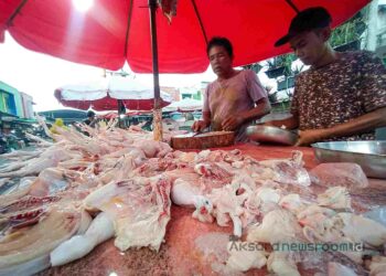 Harga Ayam Melambung diikuti Daya Beli Menurun, Harga Pakan Disebut Pengaruhi Kenaikan