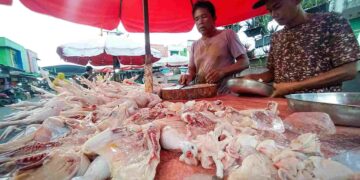 Harga Ayam Melambung diikuti Daya Beli Menurun, Harga Pakan Disebut Pengaruhi Kenaikan