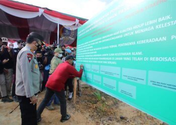 Gerakan Penanaman Pohon, Ketua DPRD Babel Suarakan Kepedulian Terhadap Lingkungan