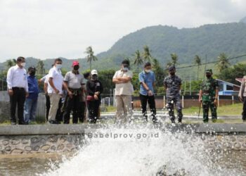 Pembukaan Lahan Udang Vaname Marak, Gubernur Babel Pelajari IPAL di BPBAP Situbondo