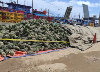 Truk Muatan Nanas Coba Kelabui Petugas, Penyeludupan Timah Berhasil Digagalkan