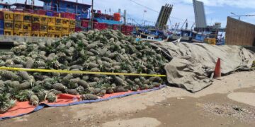 Truk Muatan Nanas Coba Kelabui Petugas, Penyeludupan Timah Berhasil Digagalkan