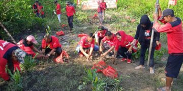 DPC PDIP Pangkalpinang Tanam 1.500 Mangrove di HUT Ke-49 PDIP dan HUT Megawati Soekarnoputri