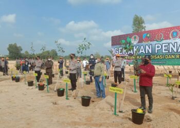 Tanam Pohon di Lahan Eks Tambang, Gubernur Babel : berawal dari omongan ringan bersama Kapolda