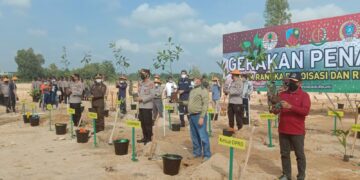 Tanam Pohon di Lahan Eks Tambang, Gubernur Babel : berawal dari omongan ringan bersama Kapolda