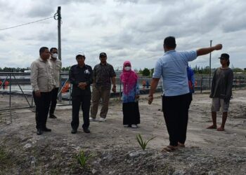 Pansus Raperda Pembudidayaan Tinjau Lokasi Budidaya Ikan dan Udang Vaname
