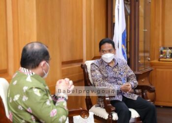 Laporan Pengawasan BPKP Tahun 2021 diterima Gubernur Babel