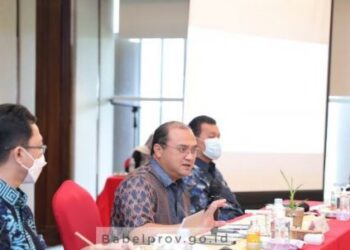 Erzaldi Siapkan 10 Langkah Strategis Kendalikan Inflasi Daerah