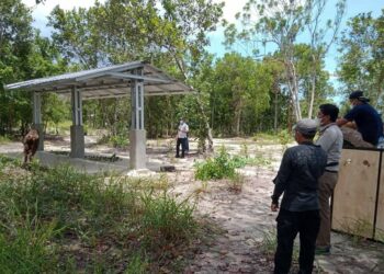 Karantina Pertanian Pangkalpinang Lakukan Pelepasliaran Rusa Sambar