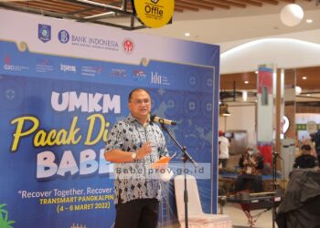 Gubernur Imbau Restoran di Babel Gunakan Eco Straw