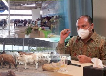 Gubernur Babel Dorong Optimalisasi Penyaluran KUR