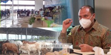 Gubernur Babel Dorong Optimalisasi Penyaluran KUR