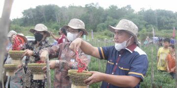Panen Cabai Bersama Petani, Ini Keinginan Wali Kota Pangkalpinang Kedepannya