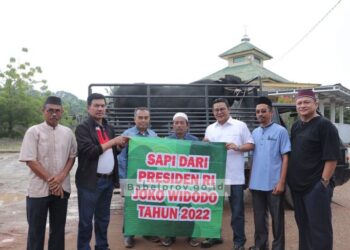 Sekda Babel Serahkan Sapi Kurban Bantuan Presiden
