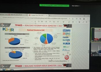 PJ Gubernur Instruksikan Percepatan Pembentukan TPAKD Kabupaten dan Kota