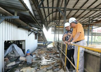 PT BAA Manfaatkan Lahan eks Tambang Ditanami Pohon Rumbia