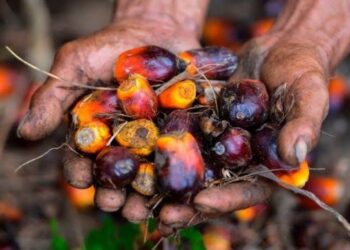 Pengusaha Sawit Minta Mendag Dukung Keberlanjutan Usaha