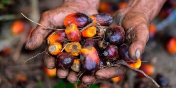 Pengusaha Sawit Minta Mendag Dukung Keberlanjutan Usaha