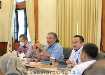 Kendalikan Inflasi Daerah, Pemprov Babel Alokasikan DID dan DTU