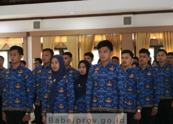 Pj Gubernur Babel Serahkan SK CPNS Lulusan IPDN