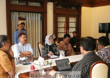 Gangguan Ginjal Akut pada Anak, Pemprov Babel Fokus dan Siapkan Langkah Pencegahan