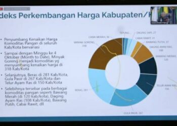 Mendagri Sampaikan Arahan Terkait Pengendalian Inflasi