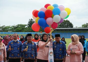 HUT Ke-23 DWP, Molen: berperan aktif dan andil dalam pembangunan