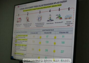 Rapat Pengendalian Inflasi Daerah, Irjen Kemendagri Ingatkan Hal Ini