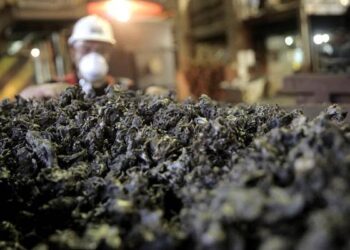 Larangan Ekspor Bahan Mentah, Kadin Harap Hilirisasi Berjalan Terintegrasi Dari Hulu ke Hilir