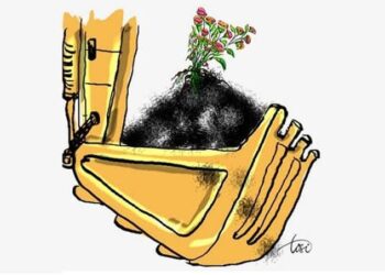 Reklamasi Berkelanjutan di Wilayah Operasional, Komitmen PT Timah Jaga Kelestarian Lingkungan