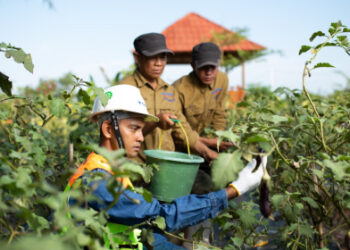 PT Timah Argo Manunggal Edukasi Pelajar Tentang Pengelolaan Lahan Bekas Tambang