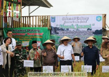 Pesta Adat Murok Jerami, Wujud Ketahanan Pangan Desa