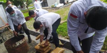 BNNP Babel Musnahkan Ganja Kering Sebanyak 15,7 Kilogram