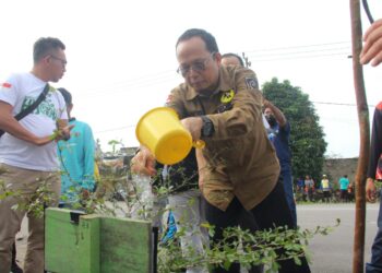 Menuju Bangka Tengah Hijau, Algafry: Kita Tanami 3.000 Pohon Ketapang