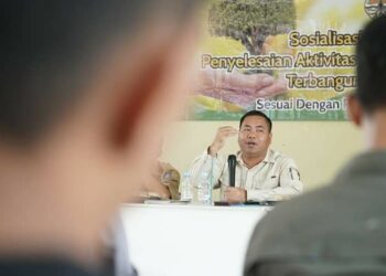 Opsi Legal Masyarakat dalam Manfaatkan Kawasan Hutan, Ini Penjelasan Adet Mastur
