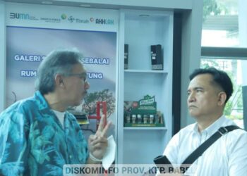 Pj Gubernur Ridwan Tawarkan Beragam Peluang Investasi Bangka Belitung