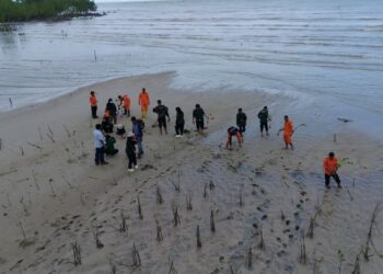 Penanaman Mangrove dan Aksi Nyata Pelestarian Lingkungan