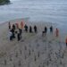 Penanaman Mangrove dan Aksi Nyata Pelestarian Lingkungan