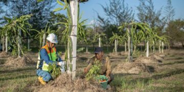 Tahun 2023, PT Timah Tbk Targetkan Reklamasi 400 Hektar Lahan di Bangka Belitung