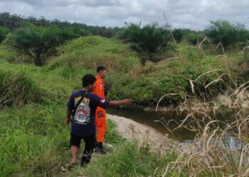 Bocah Berusia 8 Tahun di Bangka Barat Ini Dilaporkan Hilang di Perkebunan Sawit