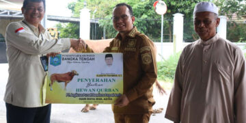 Bupati Algafry Salurkan Hewan Kurban Bersama AP II Bandara Depati Amir di Bateng