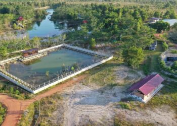 Pengelolaan Lingkungan Berkelanjutan, PT Timah Tbk Konsisten Laksanakan Reklamasi