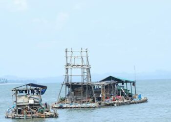 Meski Kantongi Legalitas di Penambangan Rias, PT Timah Tetap Kedepankan Kondusifitas