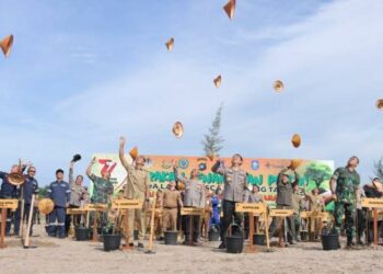 Ada 167.104 Hektar Sebaran Lahan Kritis Pasca Tambang di Bangka Belitung