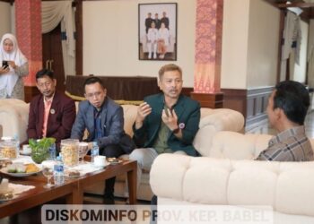 Tolak RUU Kesehatan Omnibus Law, Organisasi Profesi Kesehatan Bangka Belitung Temui Pj Gubernur Suganda