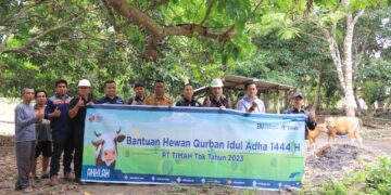 PT Timah Tbk Konsisten Setiap Tahun Distribusikan Hewan Kurban ke Masyarakat di Momen Idul Adha 