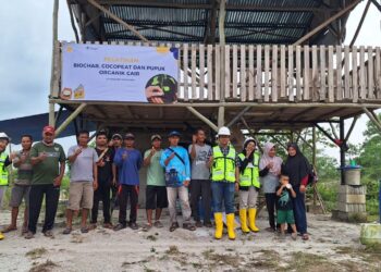 PT Timah Tbk Berikan Pelatihan untuk Kelompok Tani Air Jelutung Belitung
