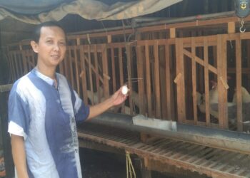 Jadi Mitra Binaan PT Timah Tbk di Belitung, Erwin Bisa Pertahankan Usaha Keluarga 